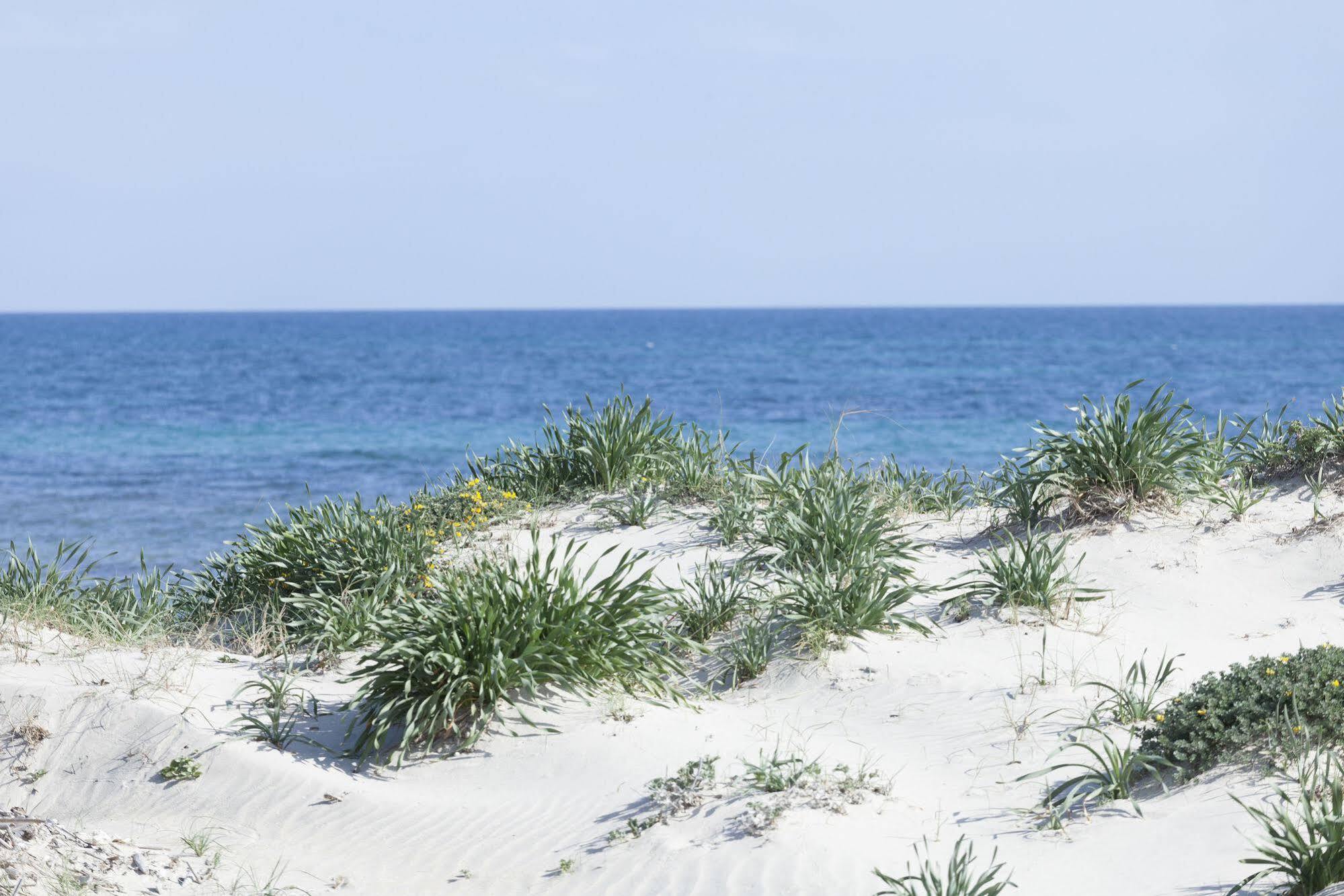 Spiaggiabella Beach Hotel Del Silenzio By Ria Hotels Torre Rinalda Dış mekan fotoğraf